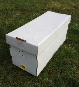 Cardboard Nuc Box - Great for Swarm Time